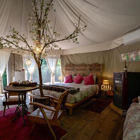 Glamping Canonici Di San Marco Mirano Exterior photo